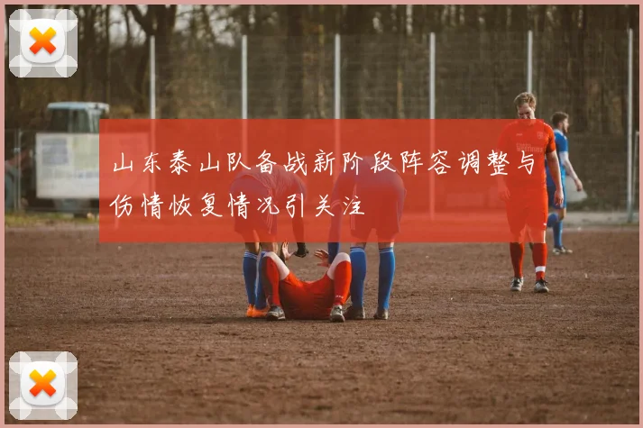 山东泰山队备战新阶段阵容调整与伤情恢复情况引关注
