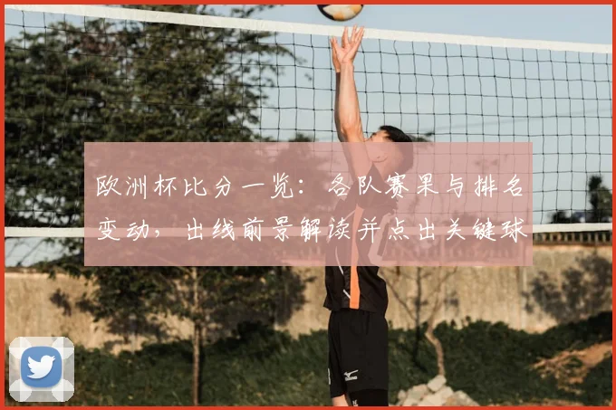 欧洲杯比分一览：各队赛果与排名变动，出线前景解读并点出关键球员
