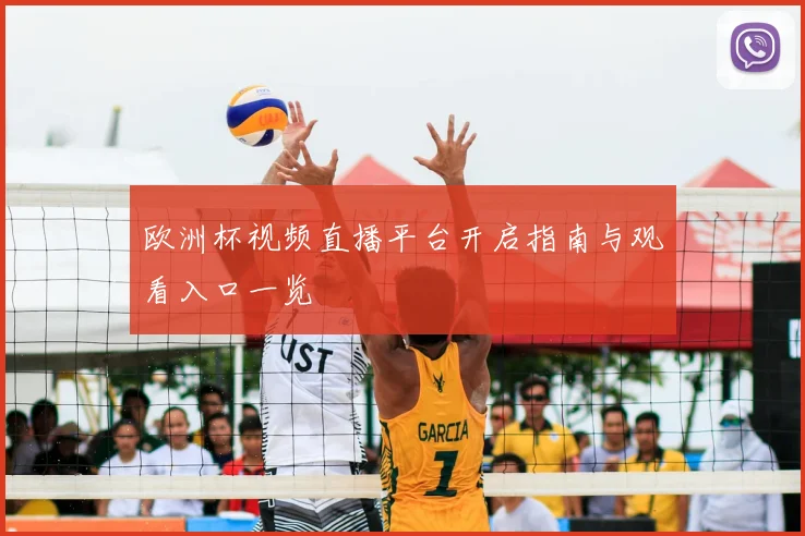 欧洲杯视频直播平台开启指南与观看入口一览