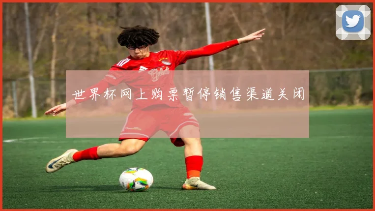 世界杯网上购票暂停销售渠道关闭