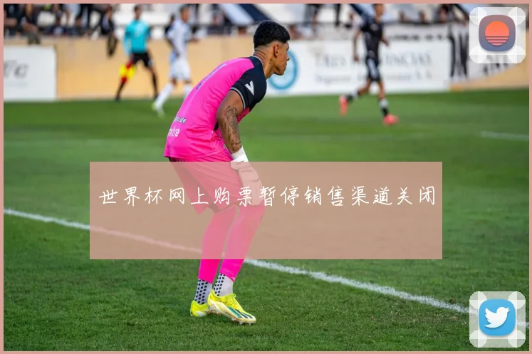 世界杯网上购票暂停销售渠道关闭
