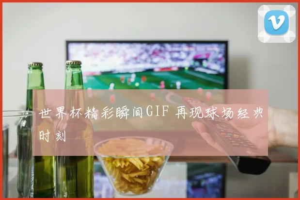 世界杯精彩瞬间GIF 再现球场经典时刻