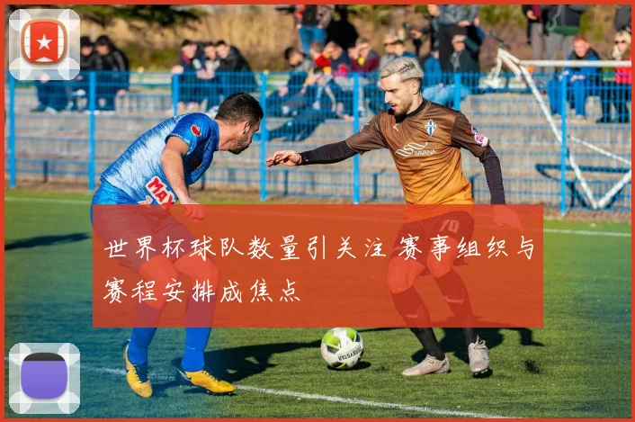 世界杯球队数量引关注 赛事组织与赛程安排成焦点