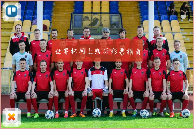 世界杯网上购买彩票指南