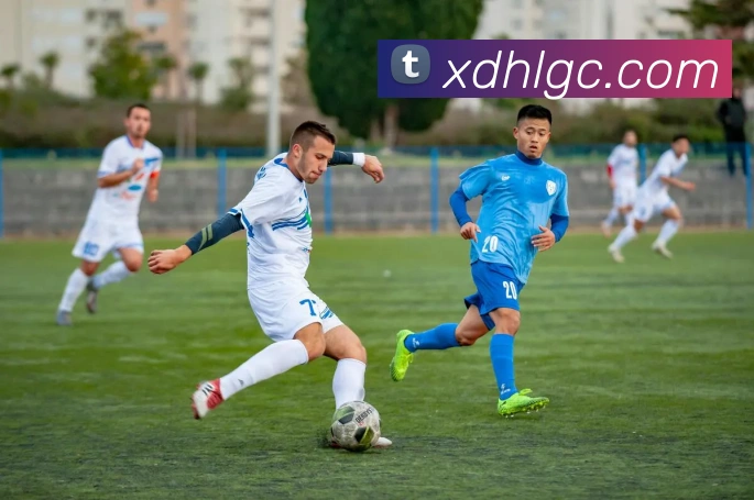 巅峰国标pg官网APP 封面图