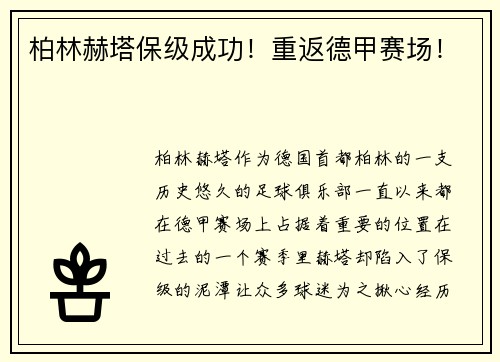 柏林赫塔保级成功！重返德甲赛场！